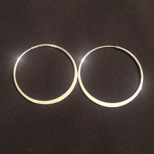 Silver Hoop Earrings